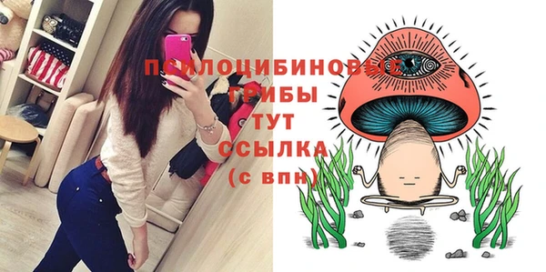 PSILOCYBIN Абинск
