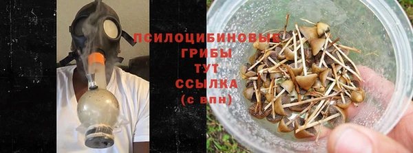 PSILOCYBIN Абинск