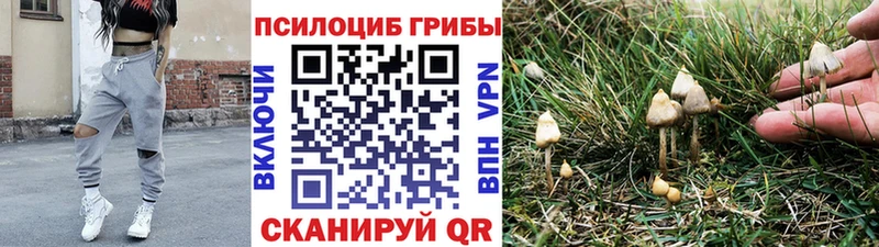 Псилоцибиновые грибы MAGIC MUSHROOMS Хасавюрт
