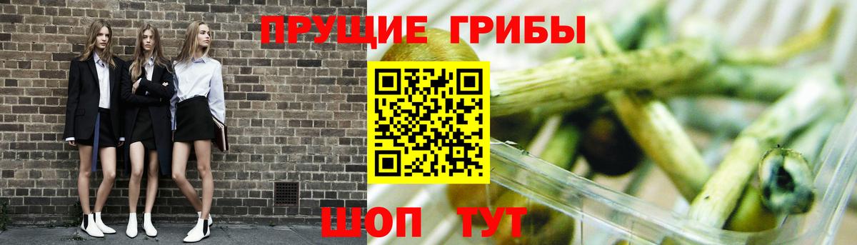 Галлюциногенные грибы ЛСД  Вход с VPN  где продают   Хасавюрт 