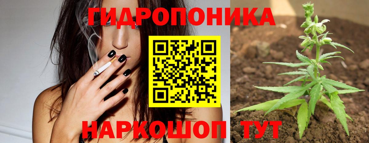 МАРИХУАНА OG Kush  Вход с VPN  Бошки марихуана сатива  Хасавюрт  Бошки марихуана THC 21%  Марихуана Bruce Banner 